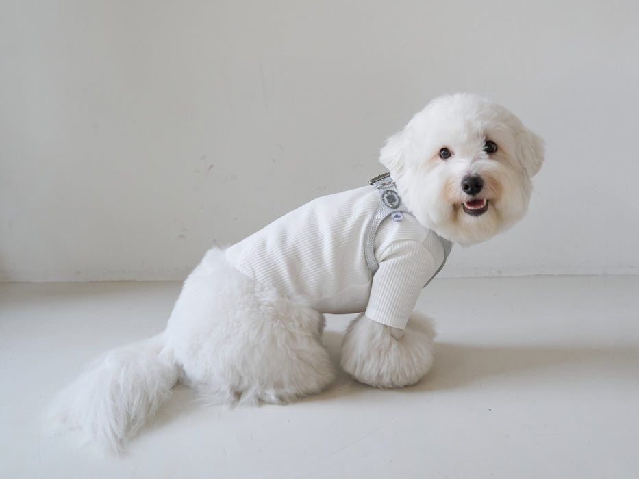 Luxury Moonwalk Harness