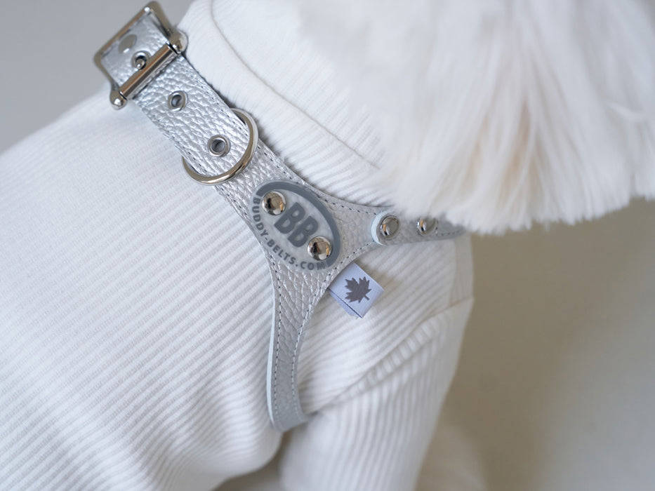 Luxury Moonwalk Leather Leash