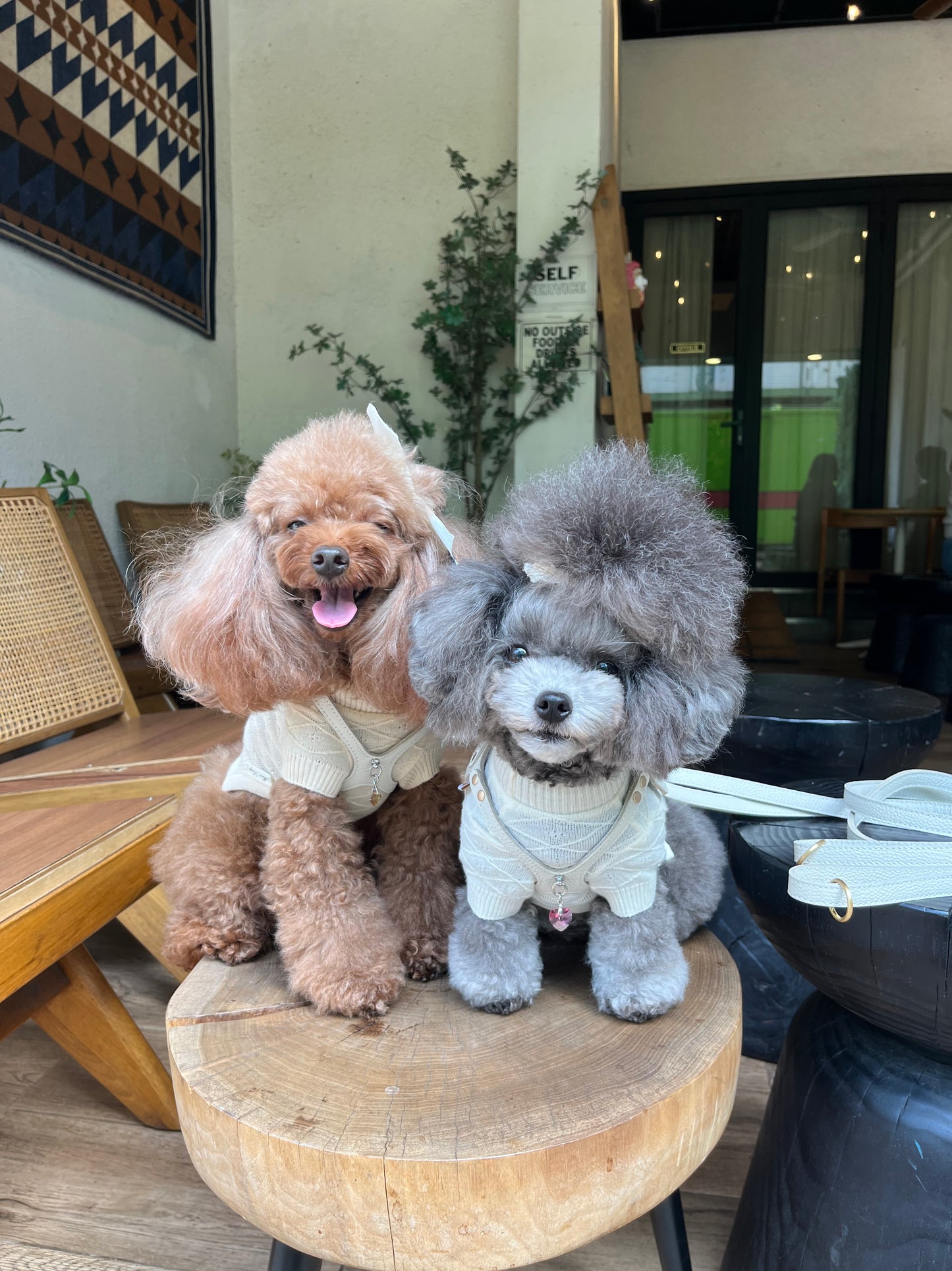 Luxury Milktea Harness