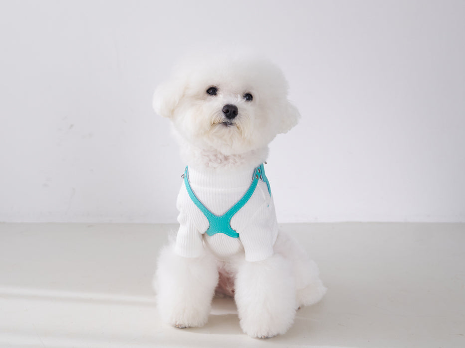 Luxury Tiffurny Harness