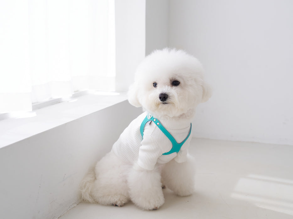 Luxury Tiffurny Harness