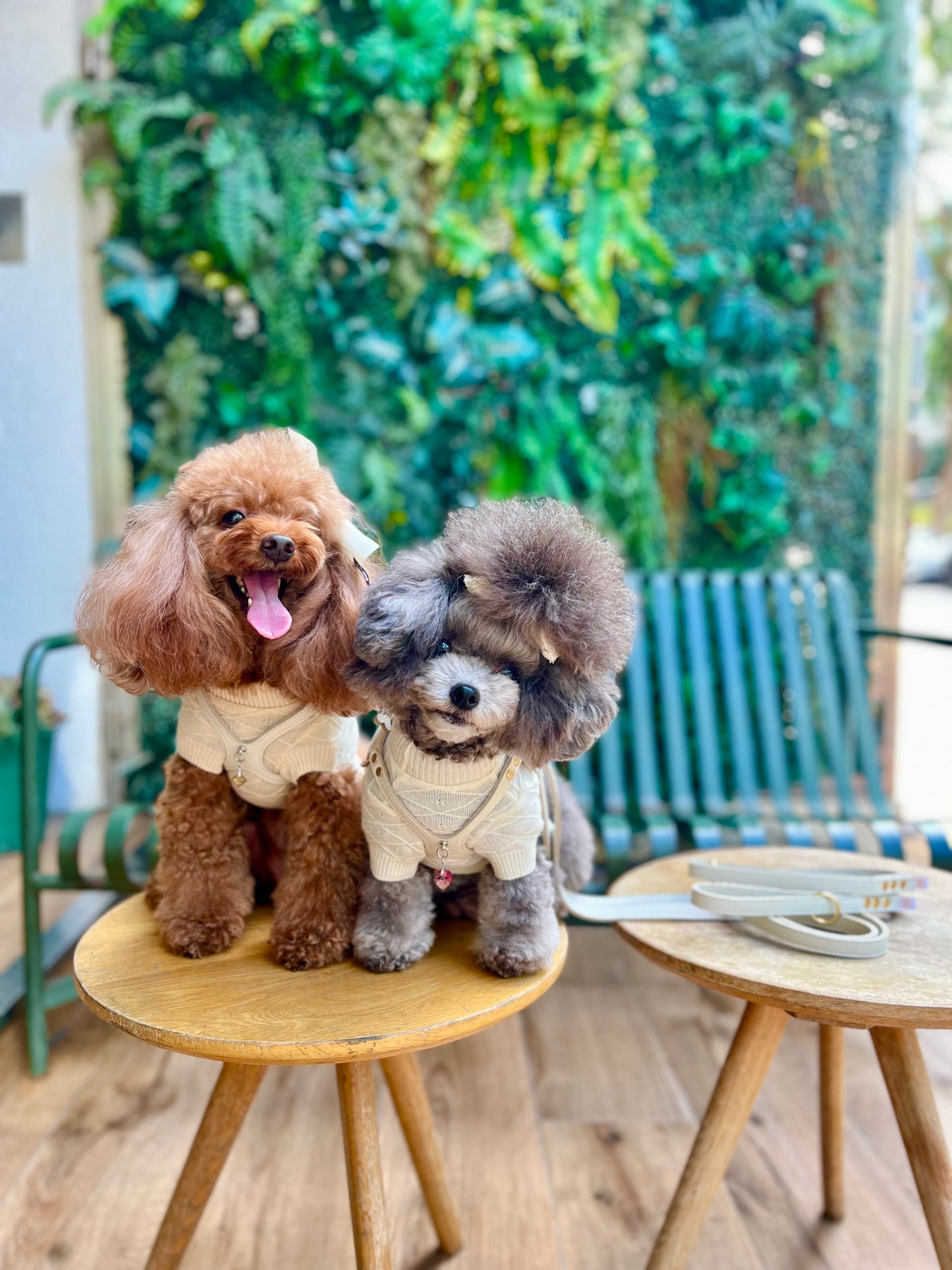 Luxury Milktea Harness