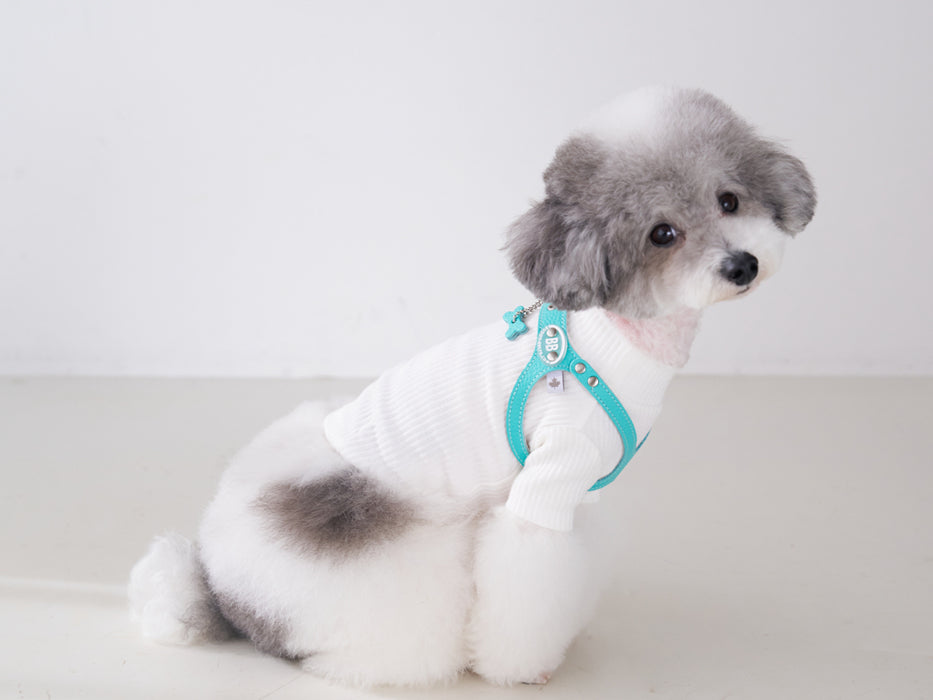 Luxury Tiffurny Harness