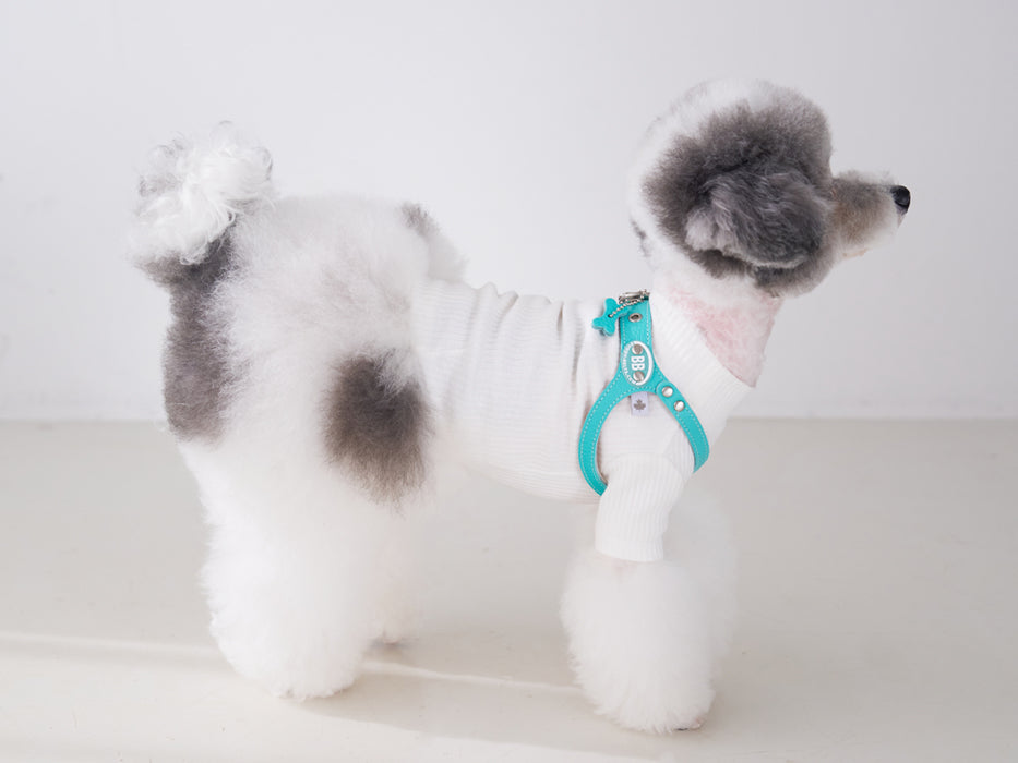 Luxury Tiffurny Harness