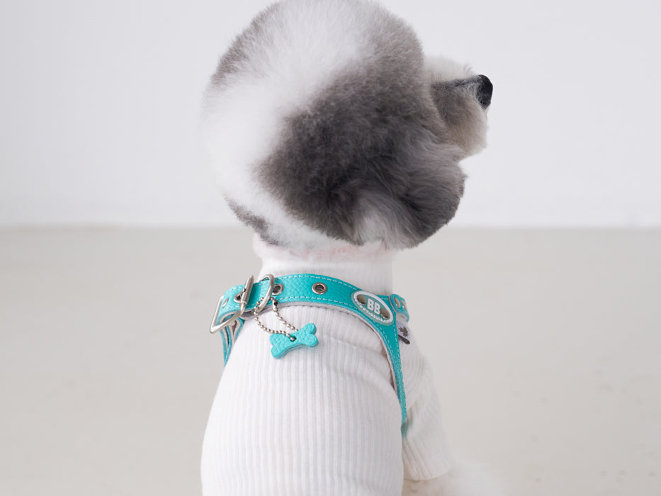 Luxury Tiffurny Harness