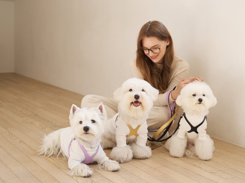 Elite Lavender Harness