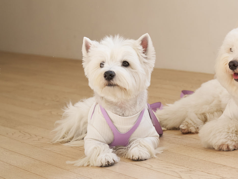 Elite Lavender Harness