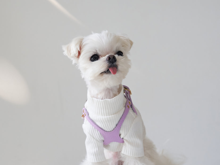 Elite Lavender Harness