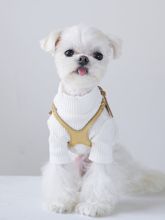 Elite Gold Nugget Harness