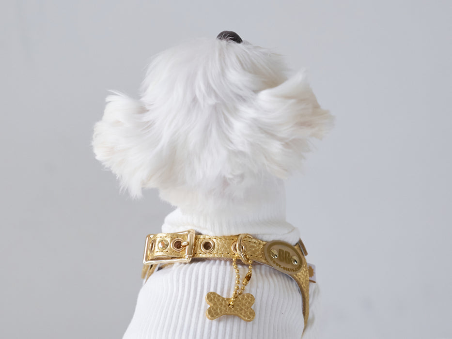 Elite Gold Nugget Harness