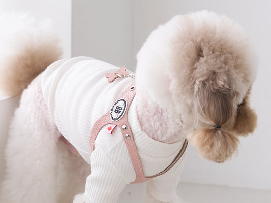 Premium Pink Leather Leash