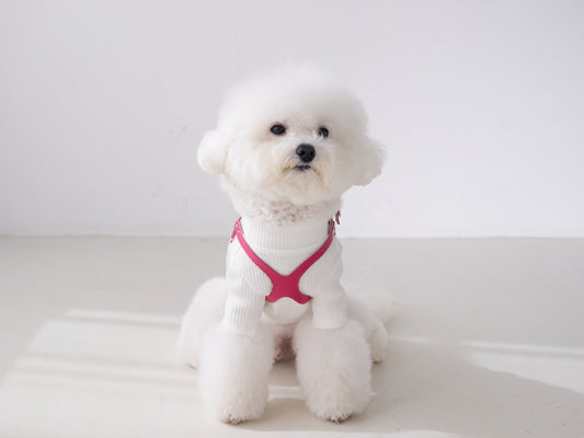 Luxury Hotpink Harness