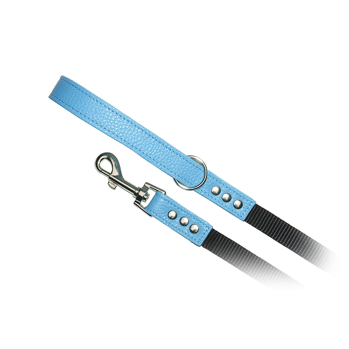 Premium Blue Nylon Leash