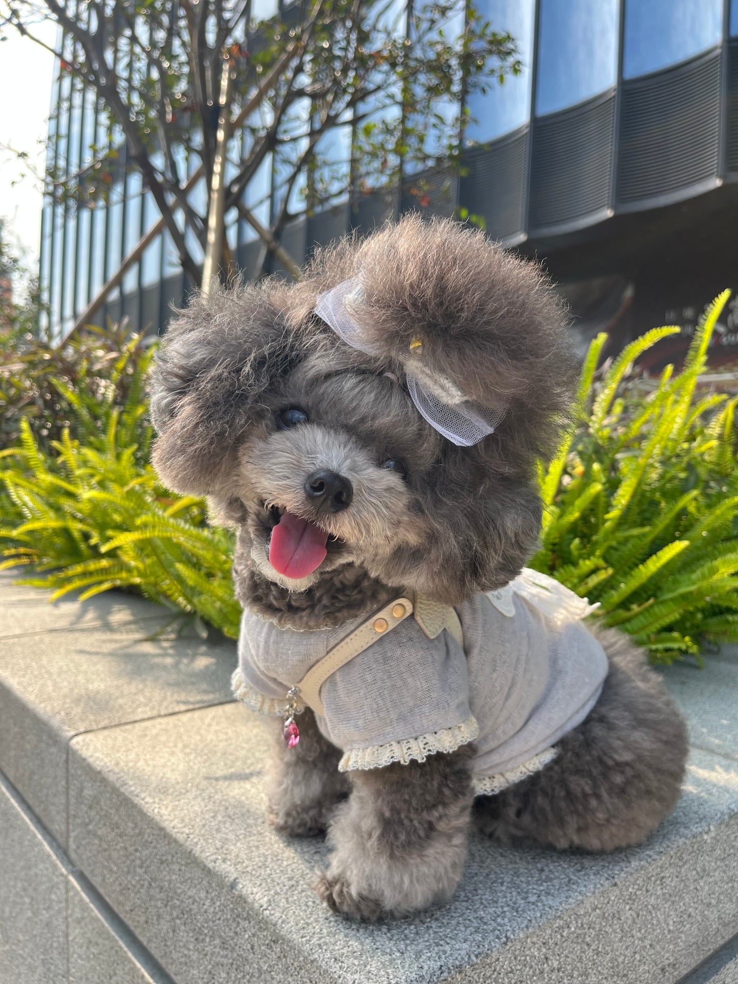 Luxury Milktea Harness