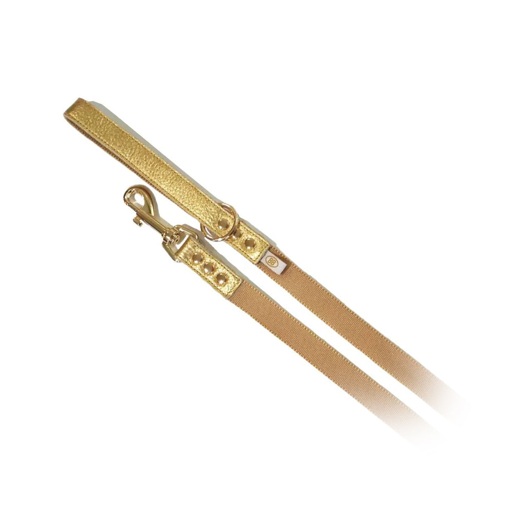 Elite Gold Nugget Nylon Leash