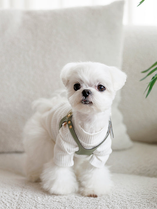 Luxury Sage Harness