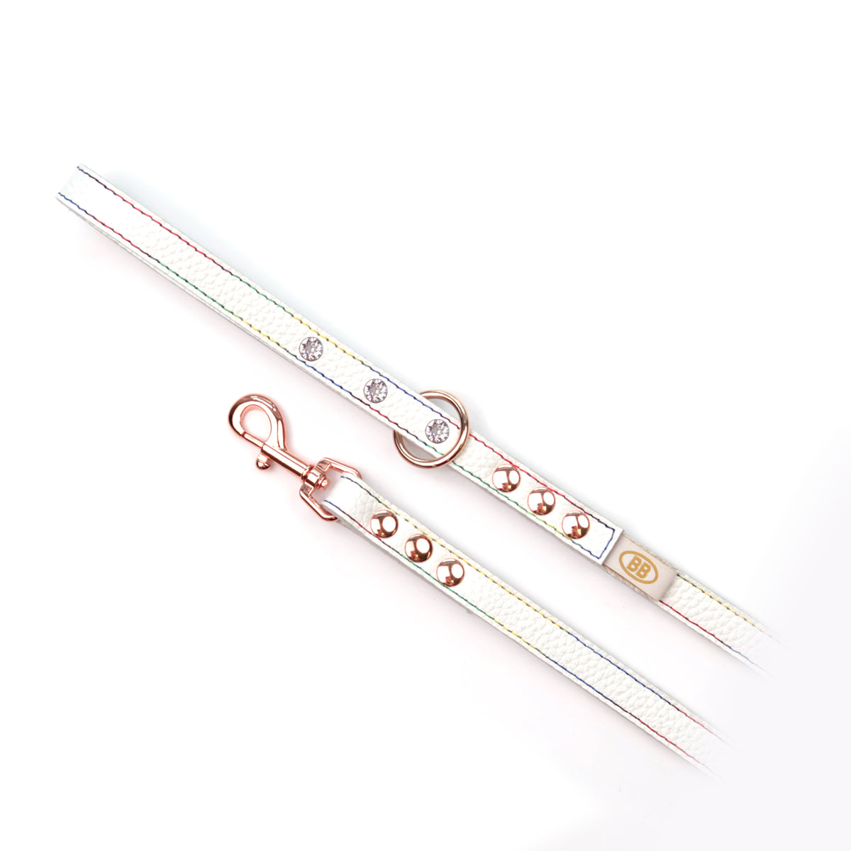 Elite Rainbow Leather Leash