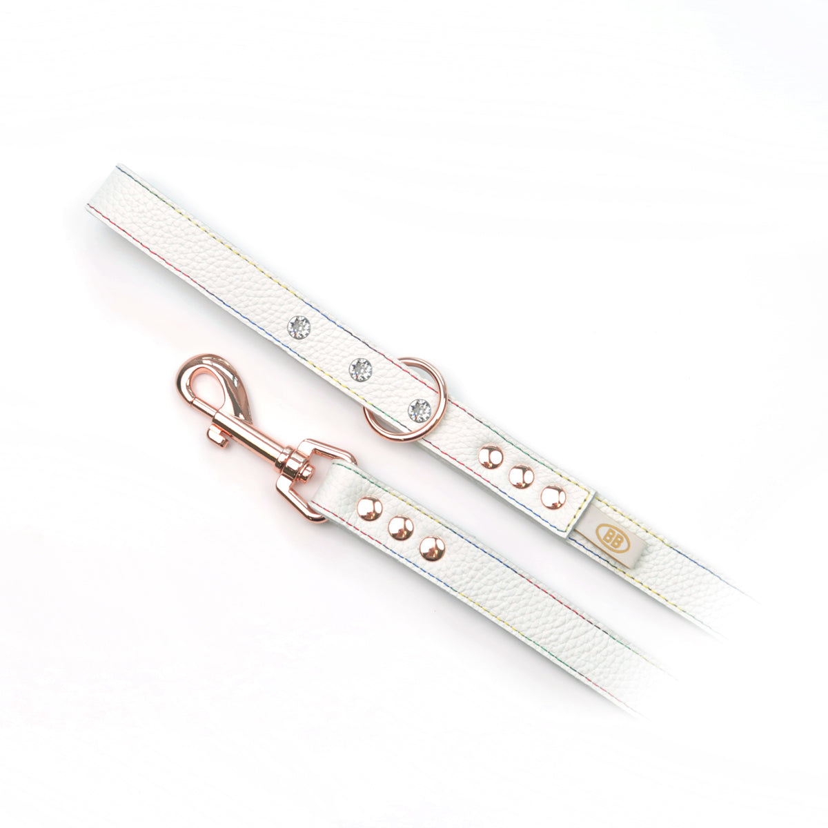 Elite Rainbow Leather Leash