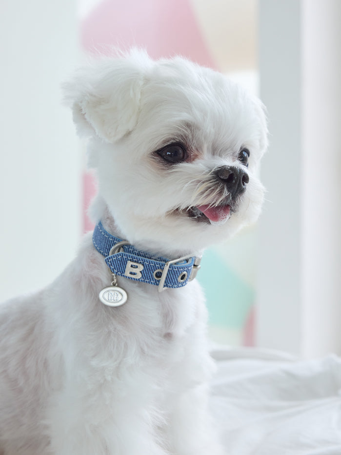 Luxury Dungaree Collar
