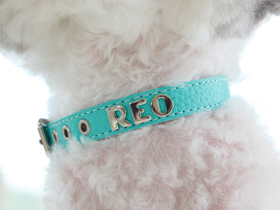 Luxury Tiffurny Collar