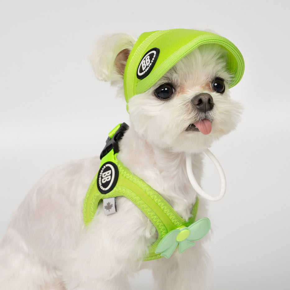 BB Sport Cap - Kiwi