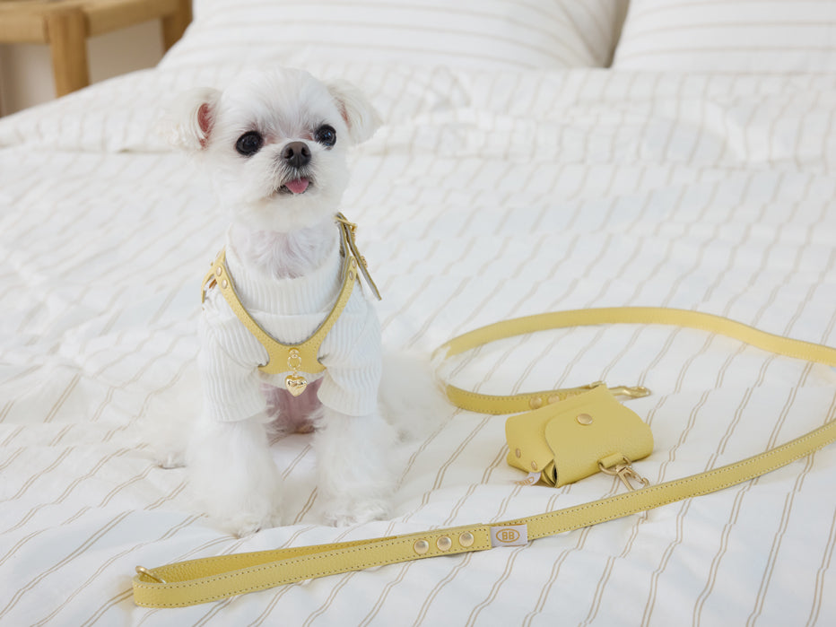 Elite Butter Leather Leash