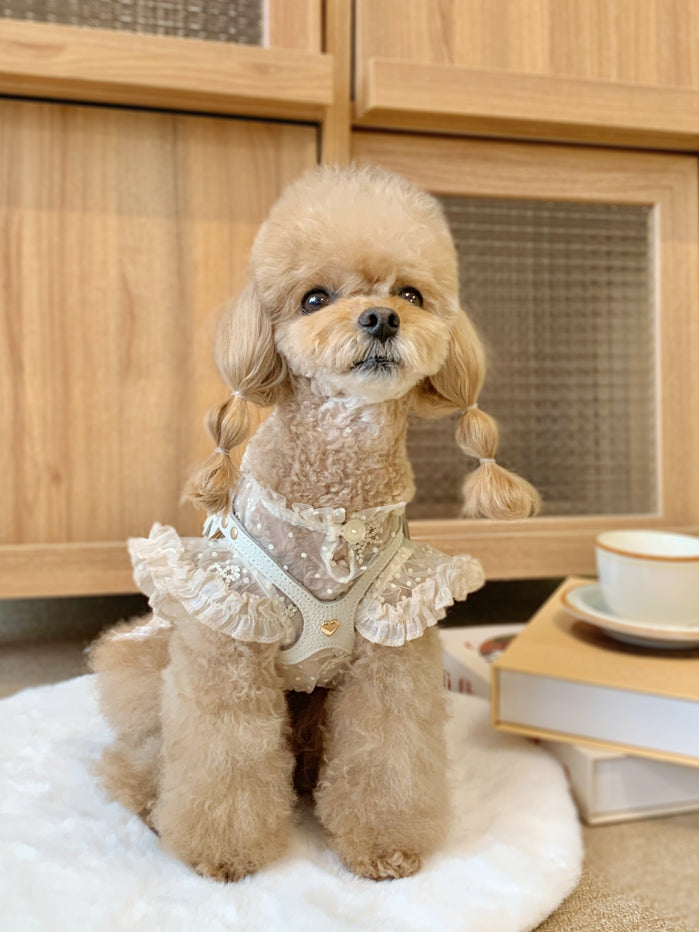 Luxury Milktea Harness