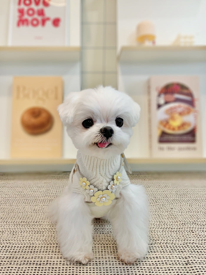 Luxury Milktea Harness