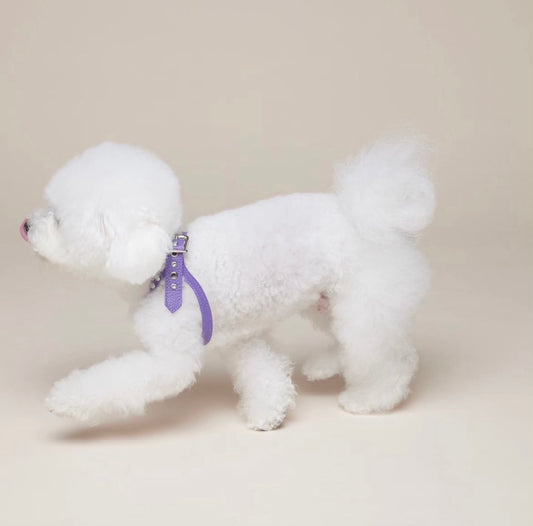 Luxury Ultra Violet Harness