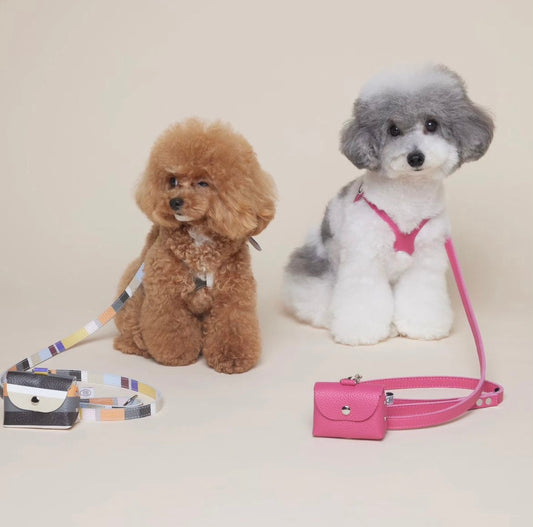 Luxury Hotpink Leather Leash