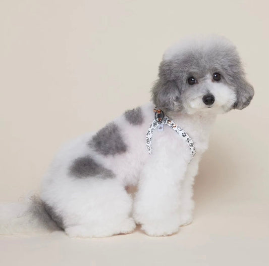 Elite Signature Blanc Harness