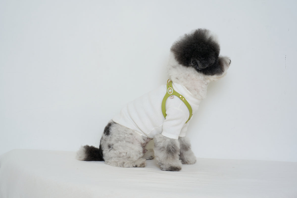 Luxury Pistachio Harness