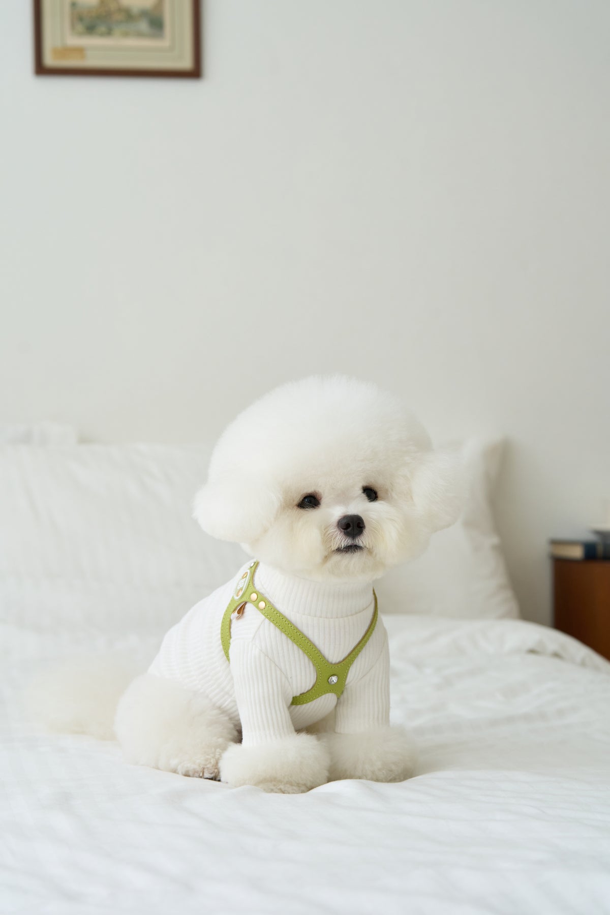Luxury Pistachio Harness