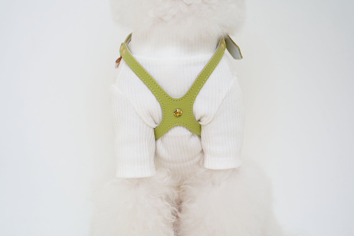 Luxury Pistachio Harness