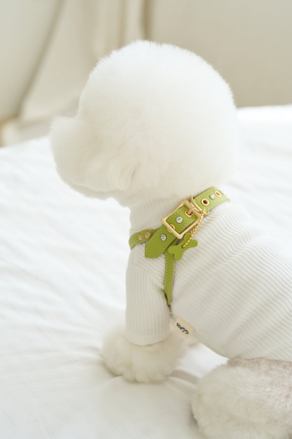 Luxury Pistachio Harness
