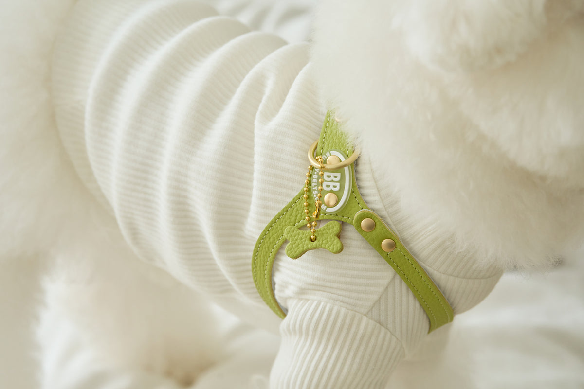 Luxury Pistachio Harness