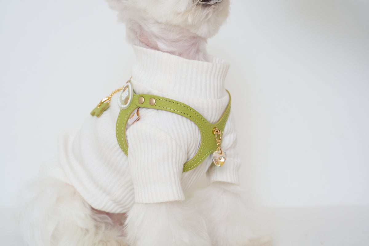 Luxury Pistachio Harness