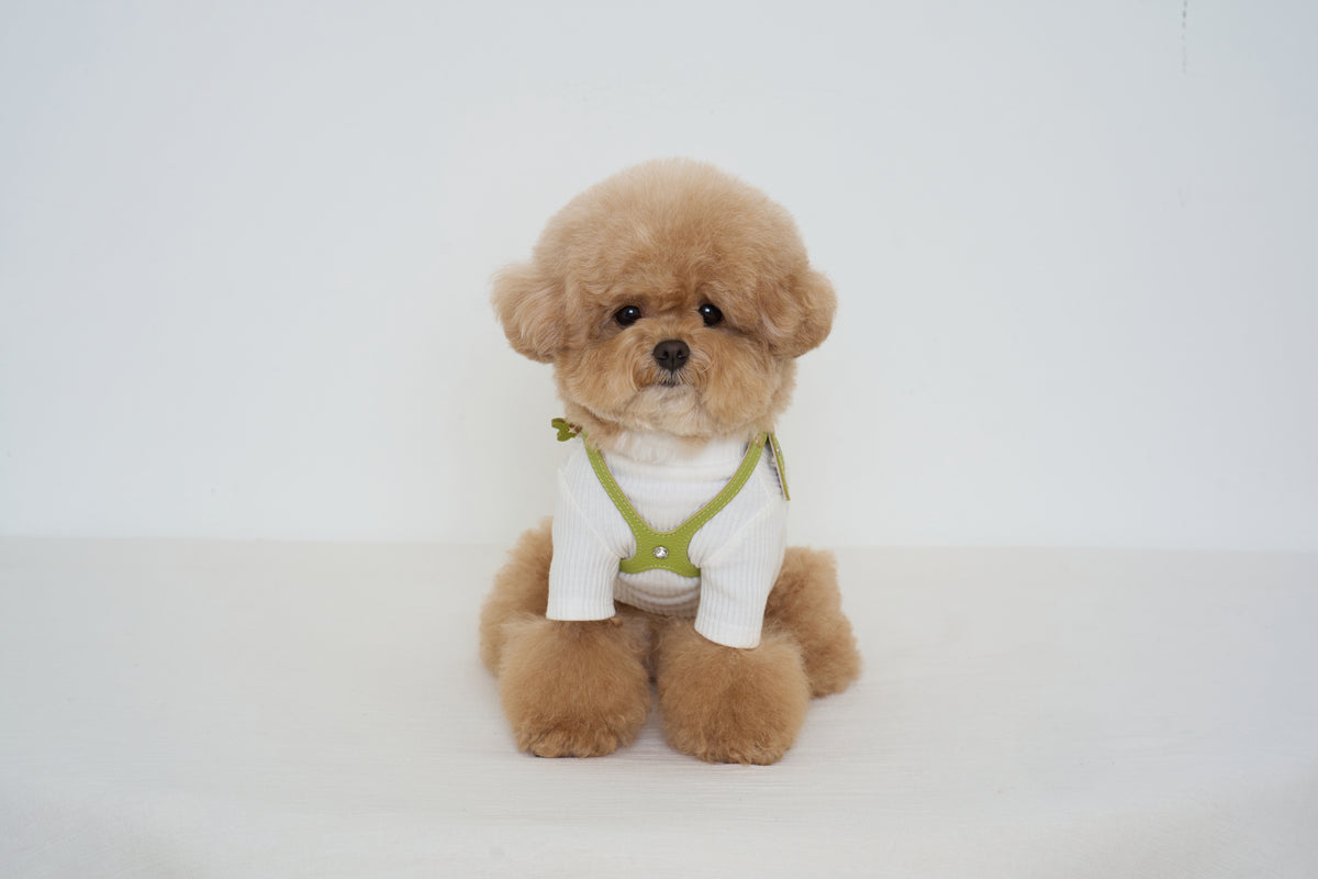 Luxury Pistachio Harness