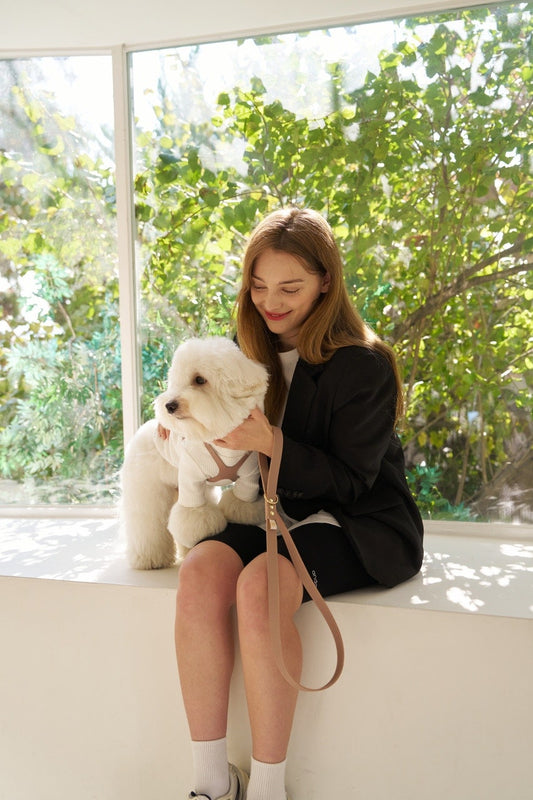 Luxury Latte Leather Leash