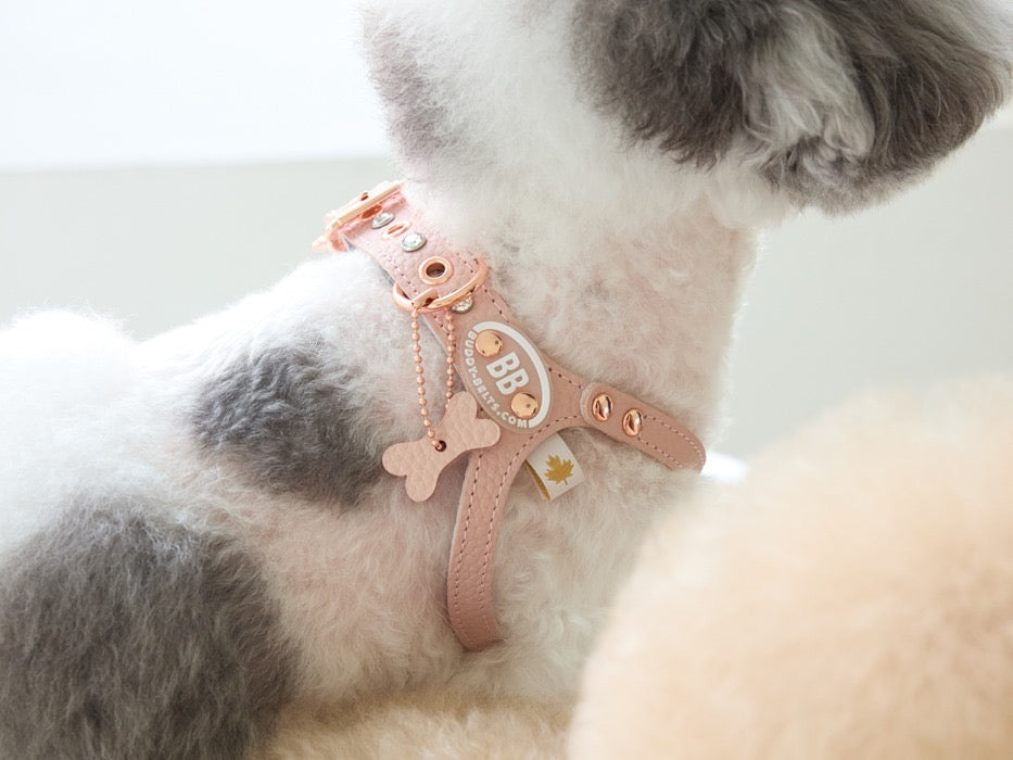 Luxury Blush Harness